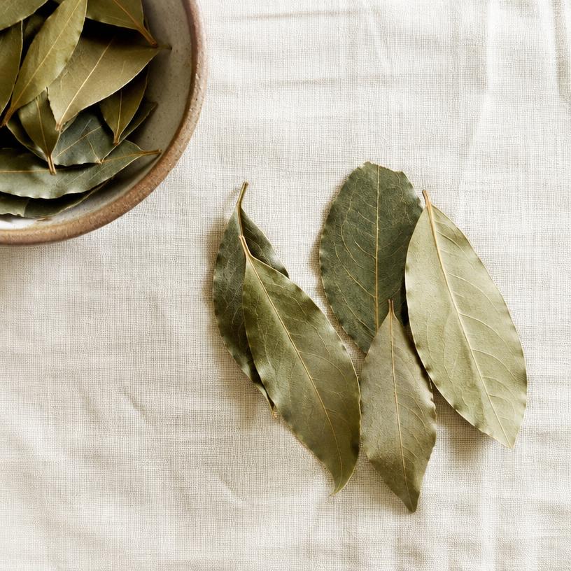 Bay leaf