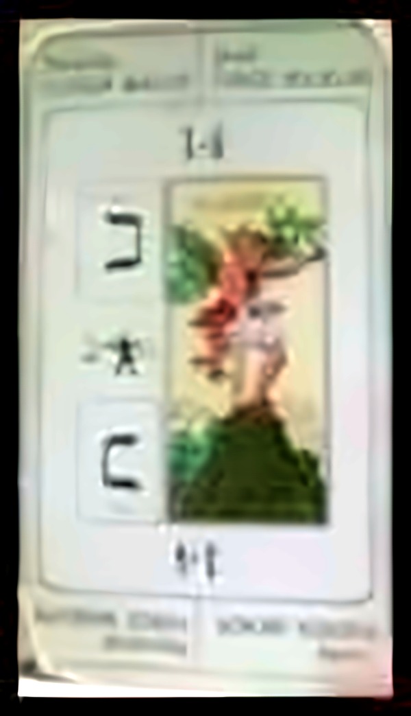 Card 14, MAJOR FORCE, MINOR FORCE - NUMBER 14 -, from the Dr. Moorne deck